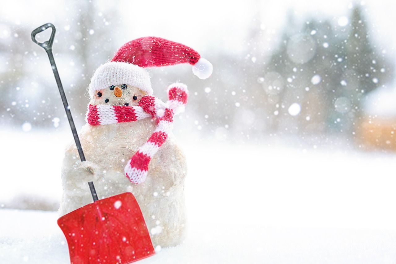 Snow Day Check In SNOW CHECK – Slice of Life